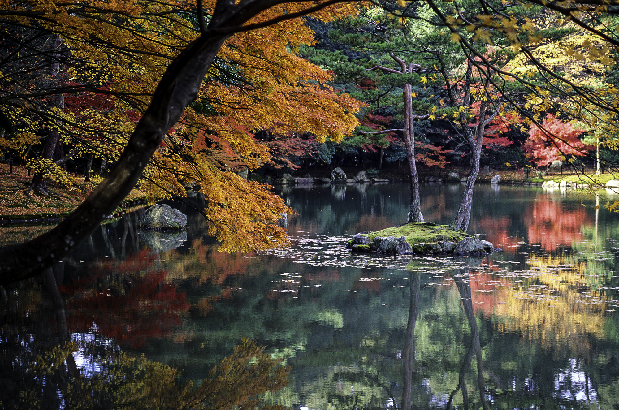 Colourful autumn leaves at a lake in Kyoto Japan bespoke trip planning