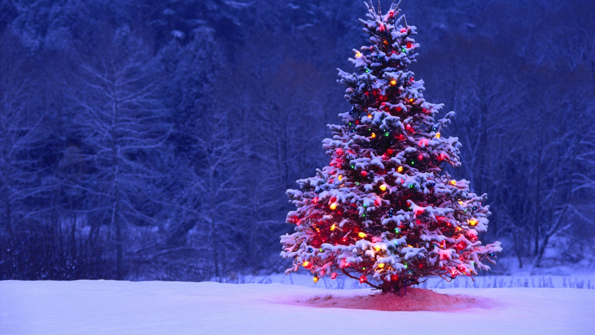 Decorated Christmas tree in the snow  traditional Christmas characters from different cultures