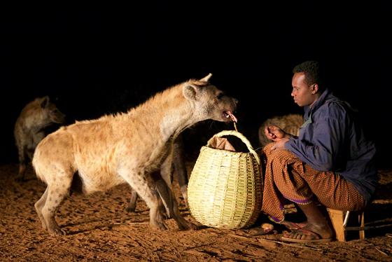 Hyena man of Harar Ethiopia sacrifice ancient ritual misunderstood creatures exquisitely crafted travel story