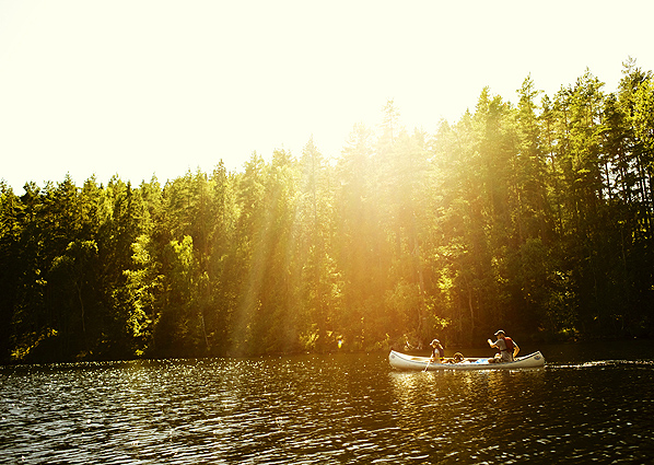 Canoeing on Swedish lakes close to mystical coniferous forests