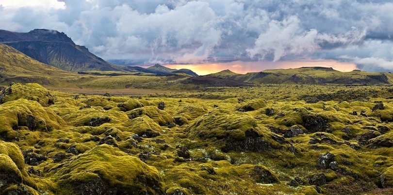 Lava moss, Iceland