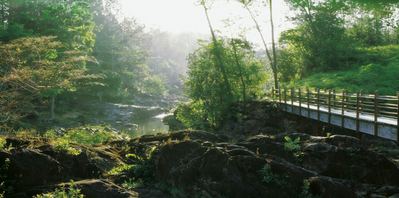 Green scenery river rocks bridge through the jungle discover Belize