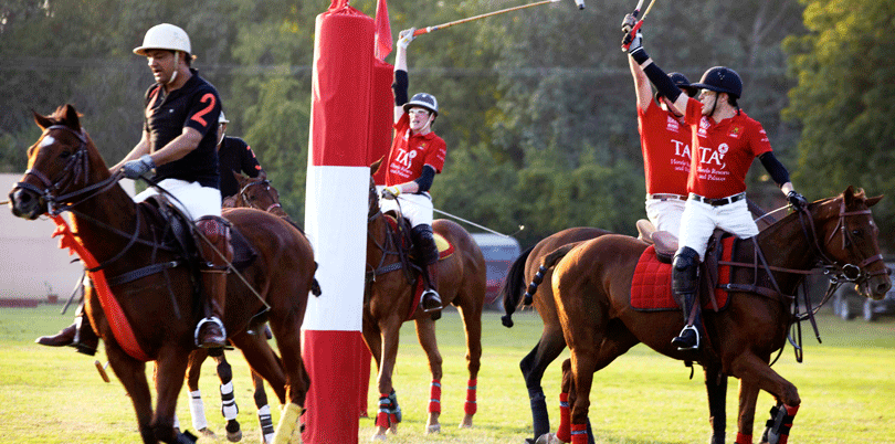 Polo