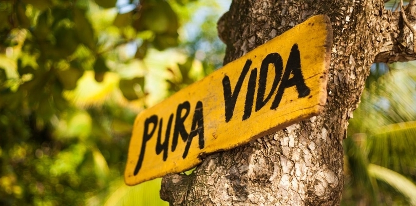 Pura Vida sign on a tree in Costa Rica