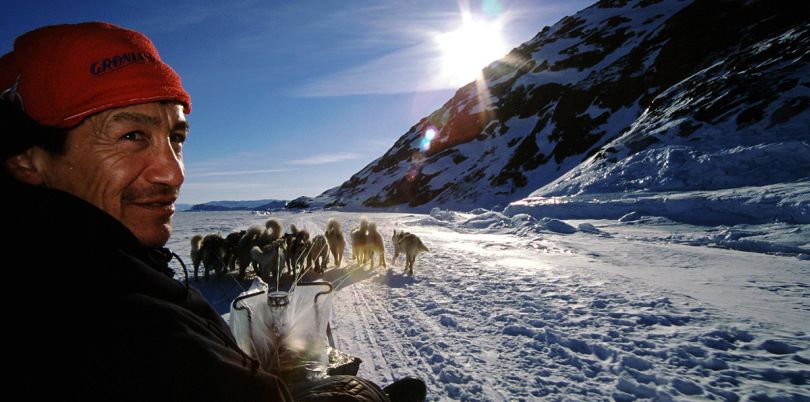 Dog sledding in the Arctic