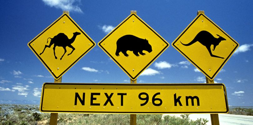 Wildlife signage in Australia