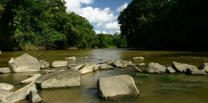 River with rocks in the Borneo jungle