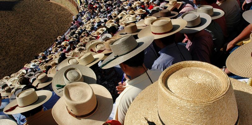 Chilean rodeo in a very steep arena Chile