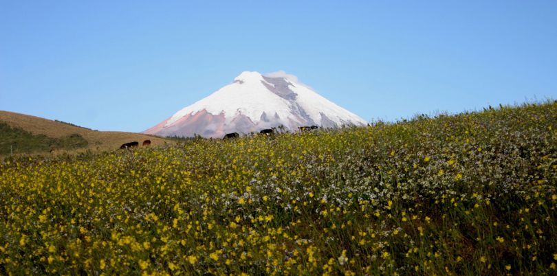 Fields in the shadow of a snowy mountain landscape in Ecuador