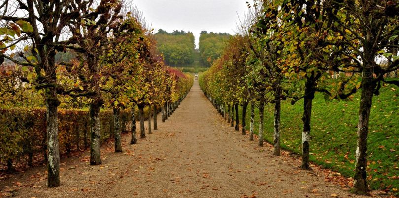 Le Chateau de Villandry Gardens, France