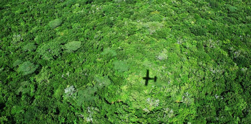 Ariel shot of Kenyan jungle