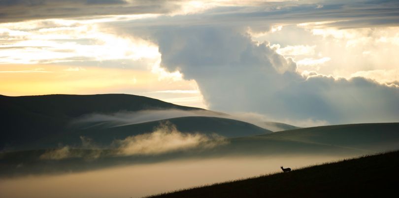 Nyika landscape of Malawi