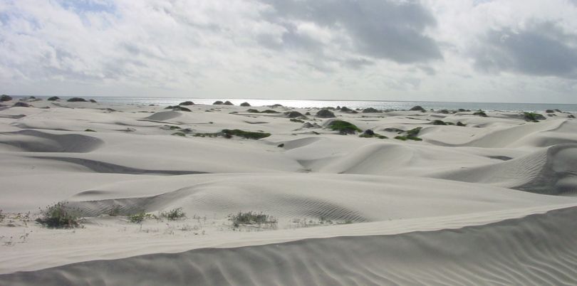 Baja dunes, Mexico