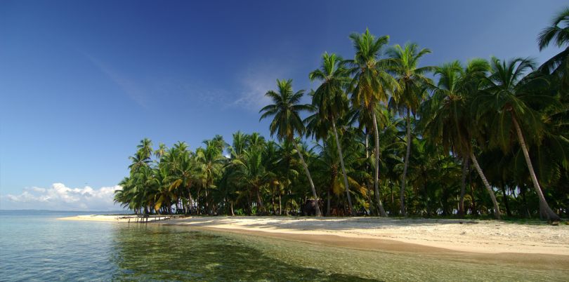 Beautiful palm beach in Panama
