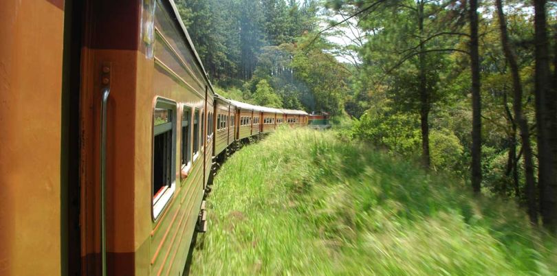 On the train, Sri Lanka