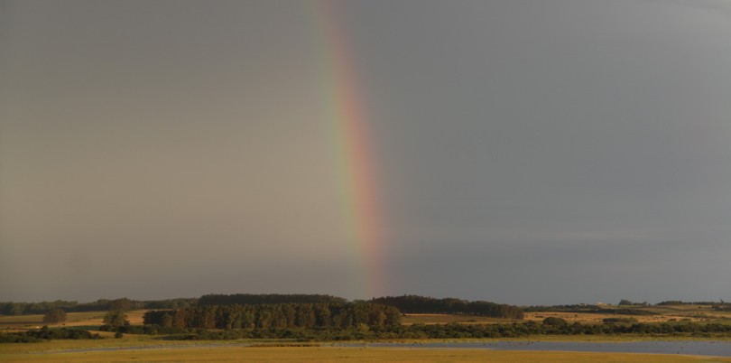 Rainbow in the countryside of Uruguay