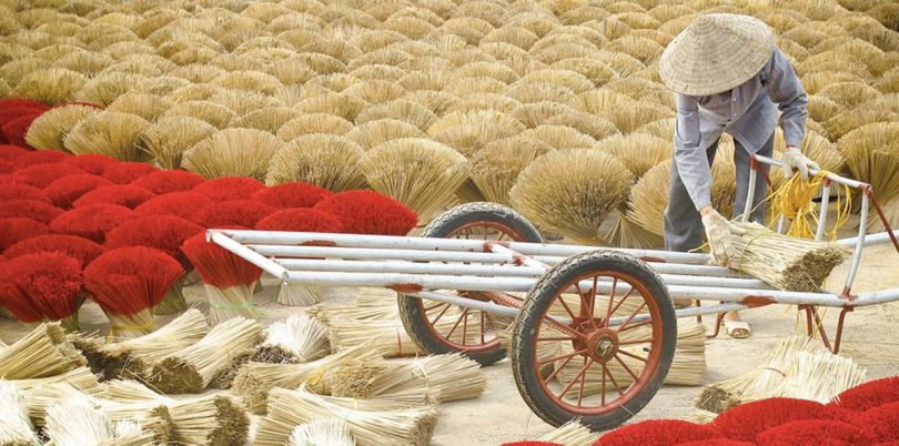 Vietnamese incense red sticks getting collected by a traditional worker